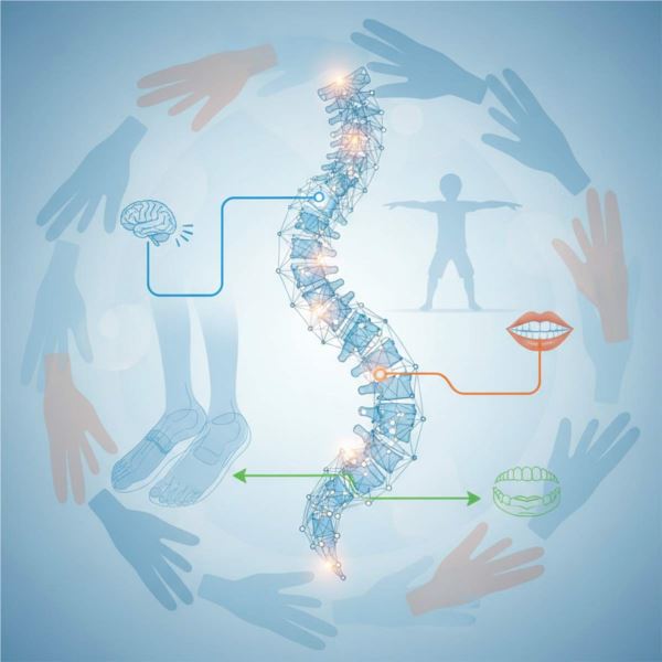 Trattamento della scoliosi: dall’uso del busto alla rieducazione multidisciplinare